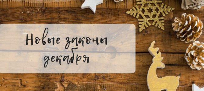 Какие новые законы новинки вступают в силу в декабре Какие новые законы новинки вступают в силу в декабре